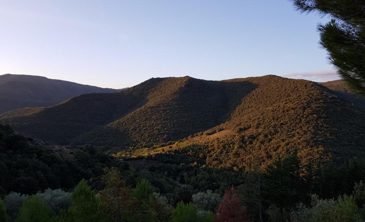 Gites-Terroirs-Occitanie Grenache Felluns Zewnętrze zdjęcie